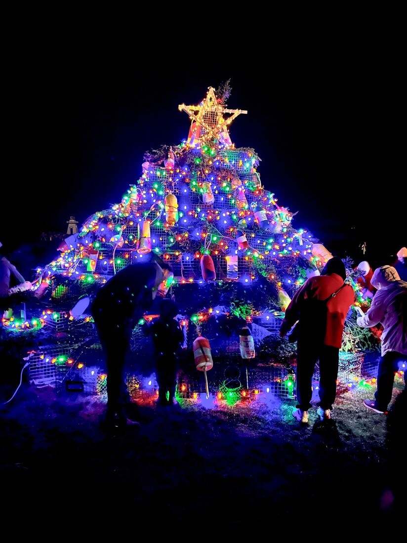 L'allumage du tout premier sapin à bournes de Clare