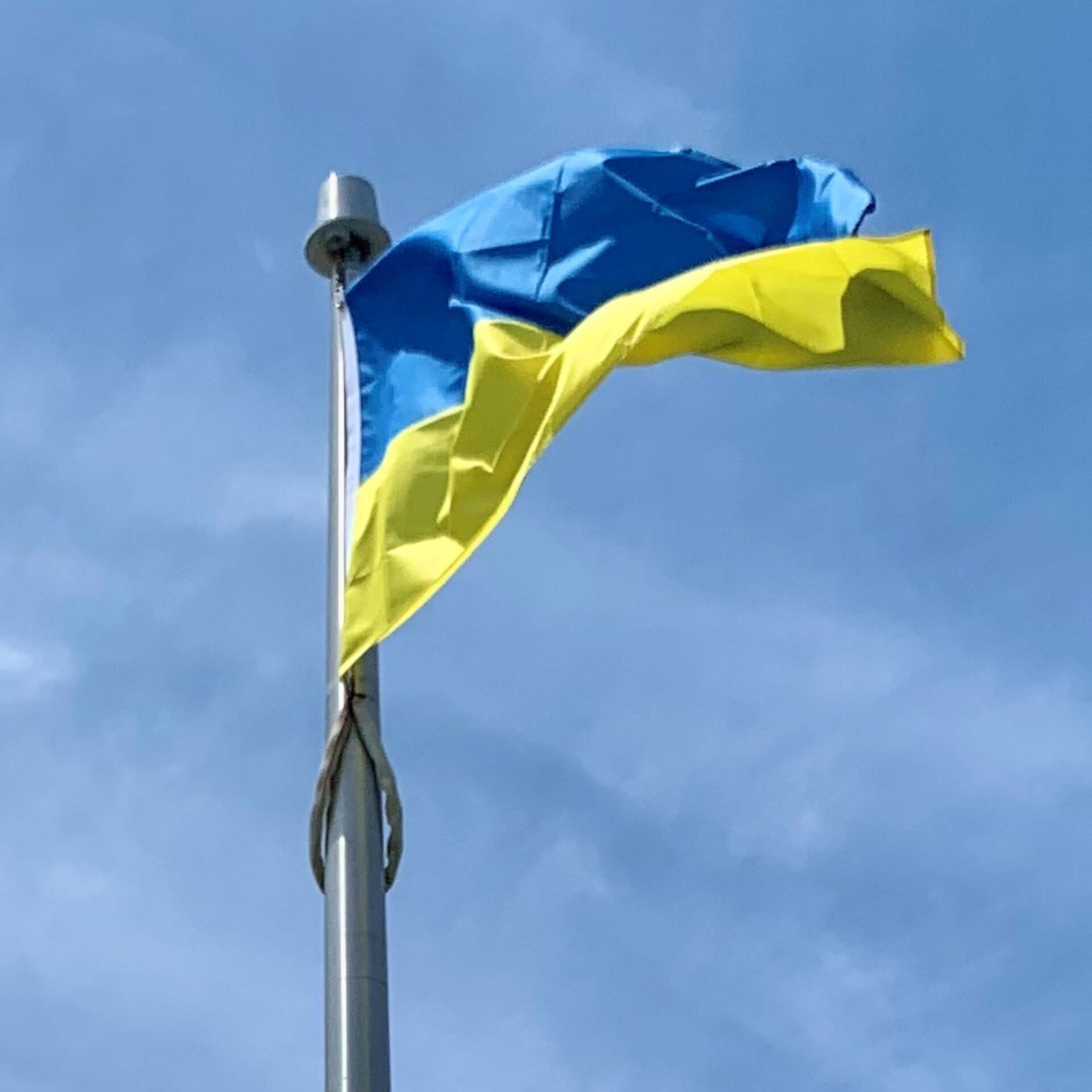 Ukrainian Flag